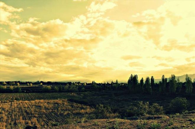 Top 20 Best Wine Regions Around The World