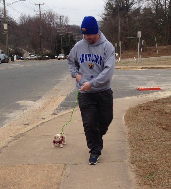 35 Pawsome Pictures Of Dogs To Make Your Day