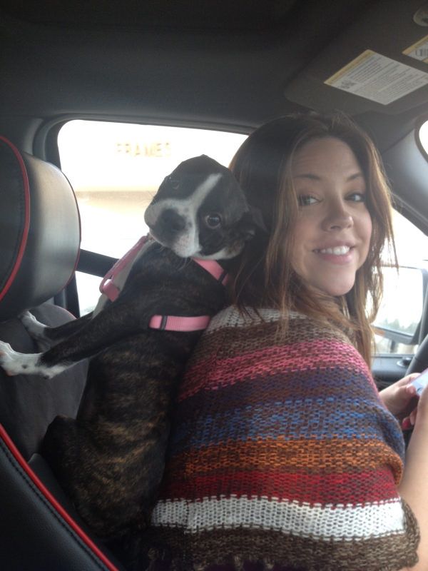 35 Pawsome Pictures Of Dogs To Make Your Day