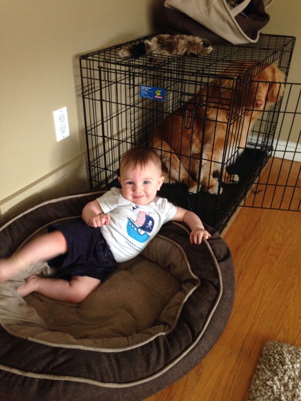 35 Pawsome Pictures Of Dogs To Make Your Day