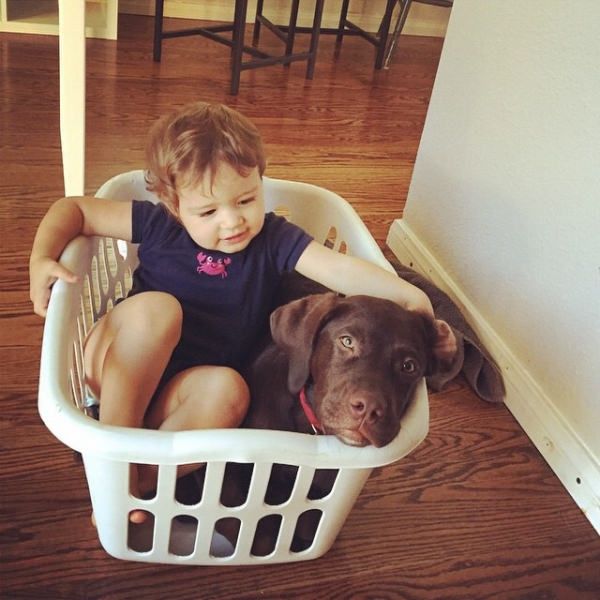 35 Pawsome Pictures Of Dogs To Make Your Day