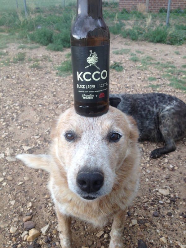 35 Pawsome Pictures Of Dogs To Make Your Day