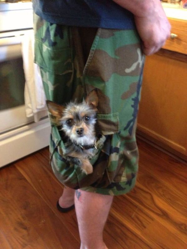 35 Pawsome Pictures Of Dogs To Make Your Day