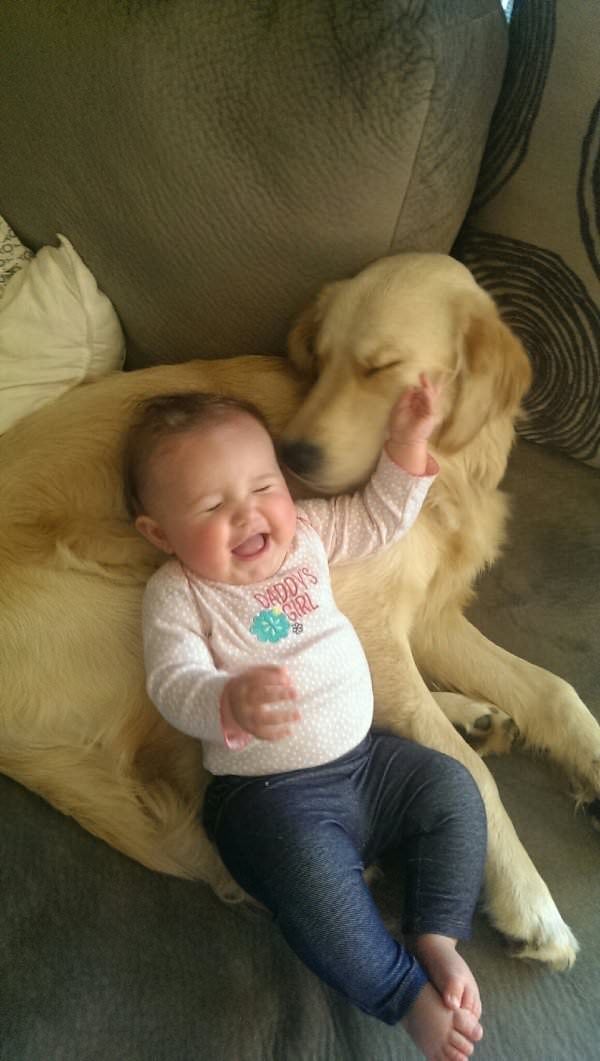 35 Pawsome Pictures Of Dogs To Make Your Day