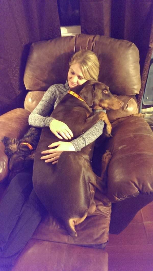 35 Pawsome Pictures Of Dogs To Make Your Day