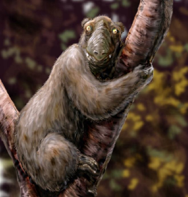 20 Strange Animals That Are Extinct From Past Millions Of Years ...