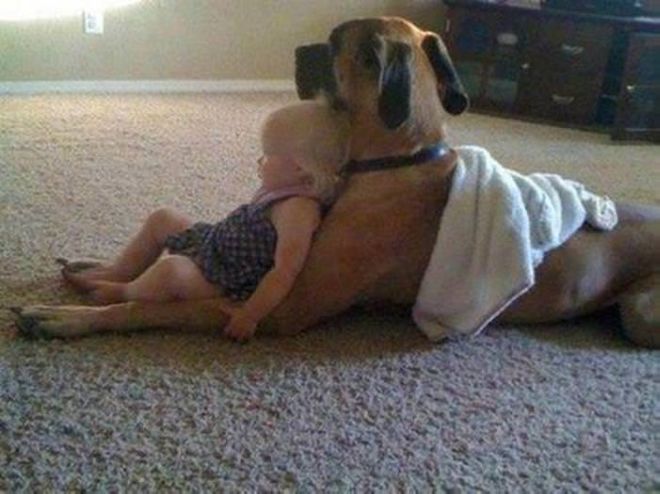These 24 Animals Are The Cutest Babysitters