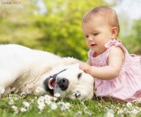 These 24 Animals Are The Cutest Babysitters