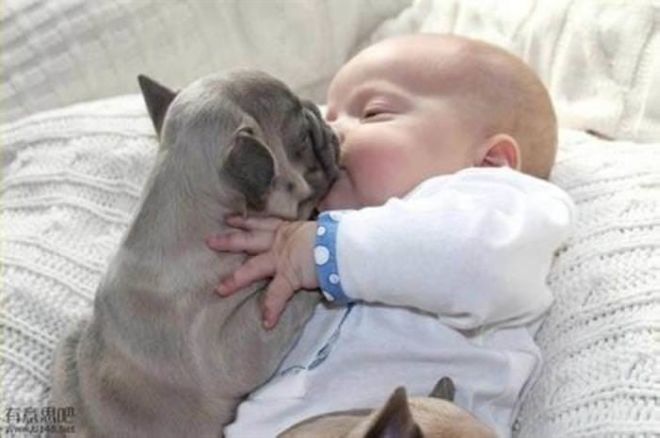 These 24 Animals Are The Cutest Babysitters