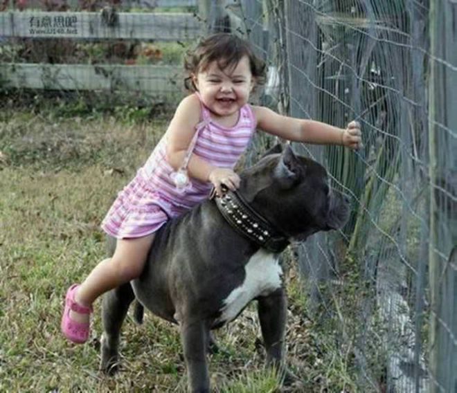 These 24 Animals Are The Cutest Babysitters