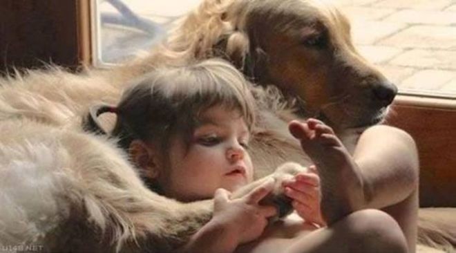 These 24 Animals Are The Cutest Babysitters