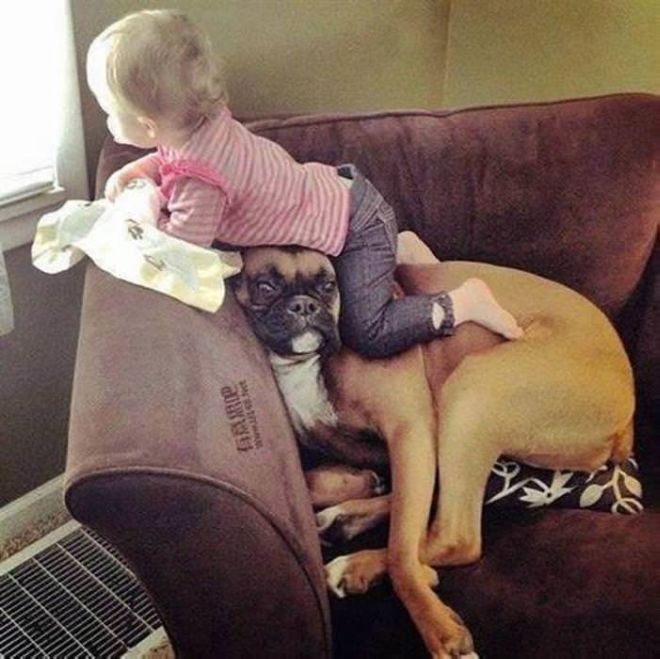 These 24 Animals Are The Cutest Babysitters