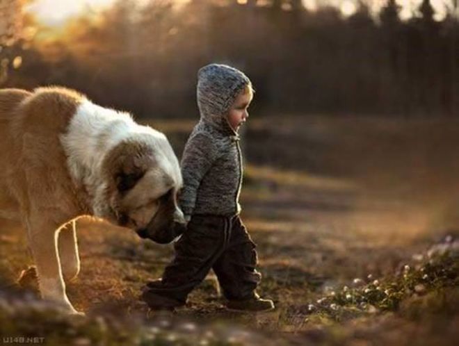 These 24 Animals Are The Cutest Babysitters