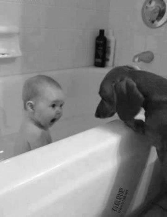 These 24 Animals Are The Cutest Babysitters