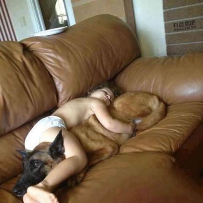 These 24 Animals Are The Cutest Babysitters