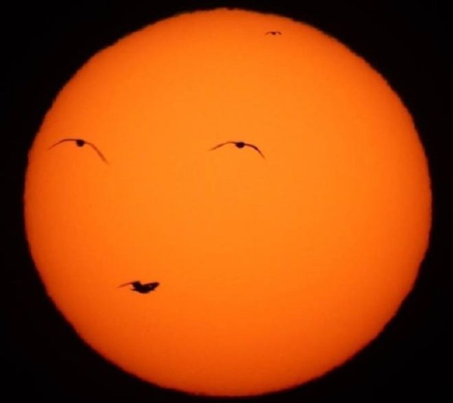 20 Confusing Photos You Need To Look Twice