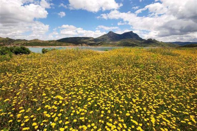 17 Most Beautiful Places To Visit In The Spring Season