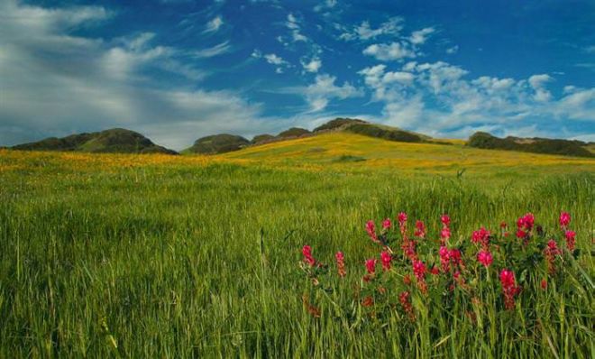 17 Most Beautiful Places To Visit In The Spring Season