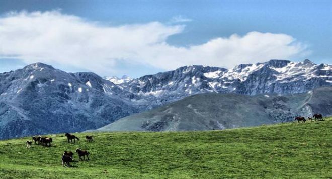 17 Most Beautiful Places To Visit In The Spring Season