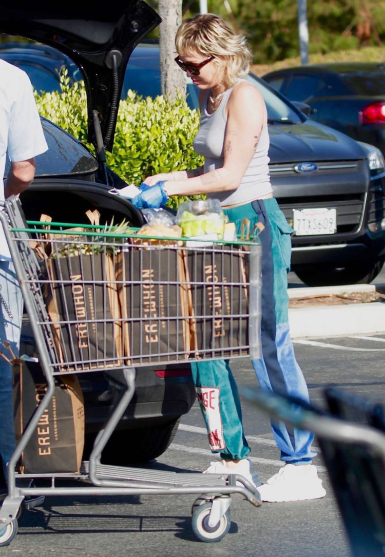 Miley Cyrus Spotted Out Shopping In Los Angeles